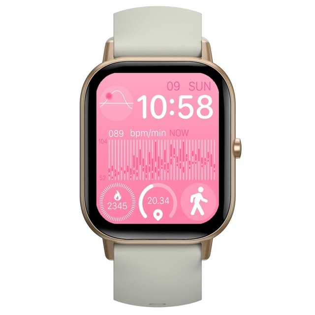 Smart Watch 2.01