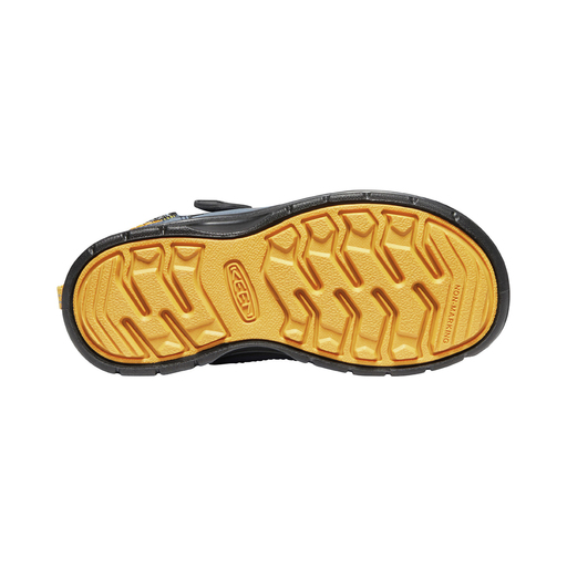 Sapatos de caminhada Hikeport 2 Low WP