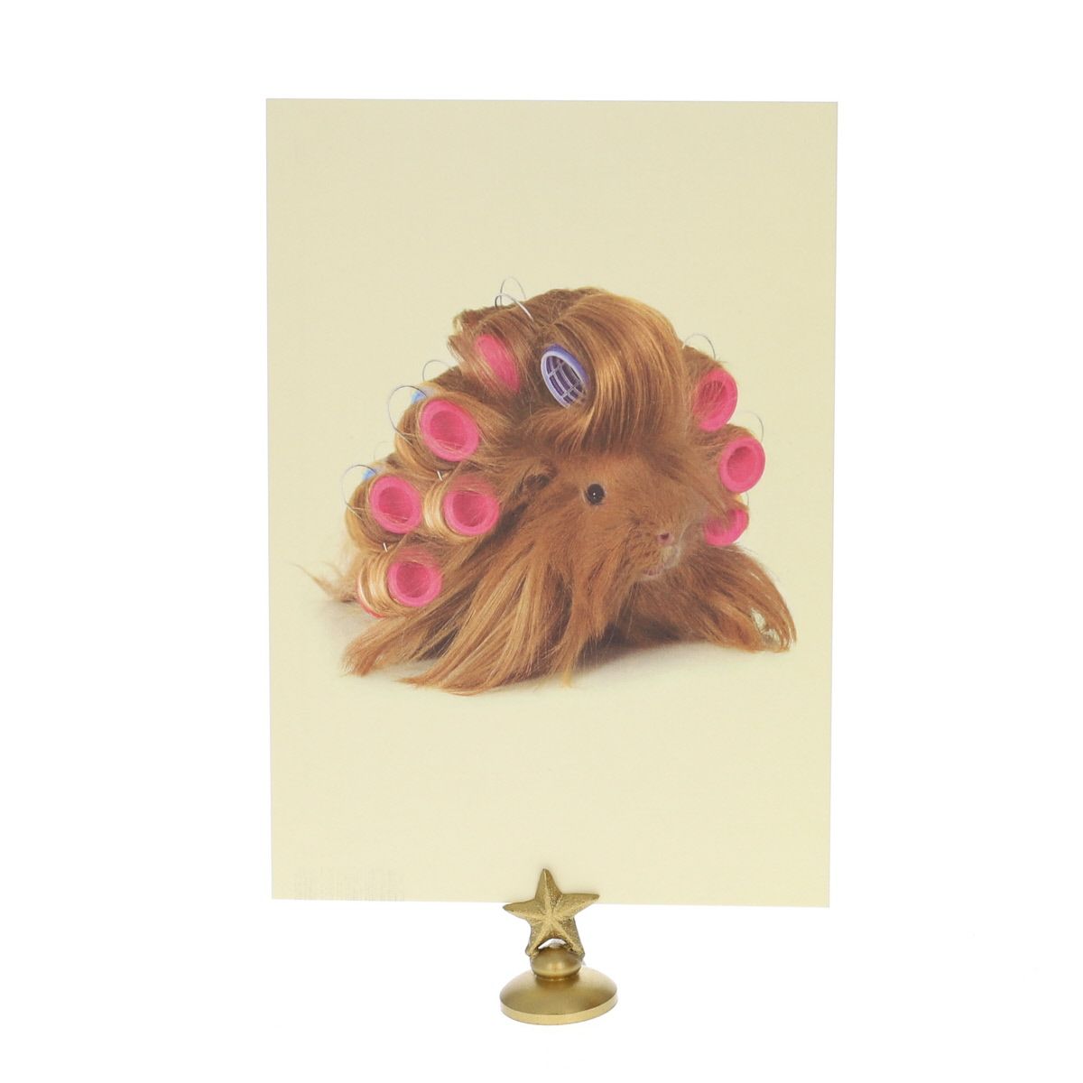 Carte cochon d'Inde bigoudis Lagom Design