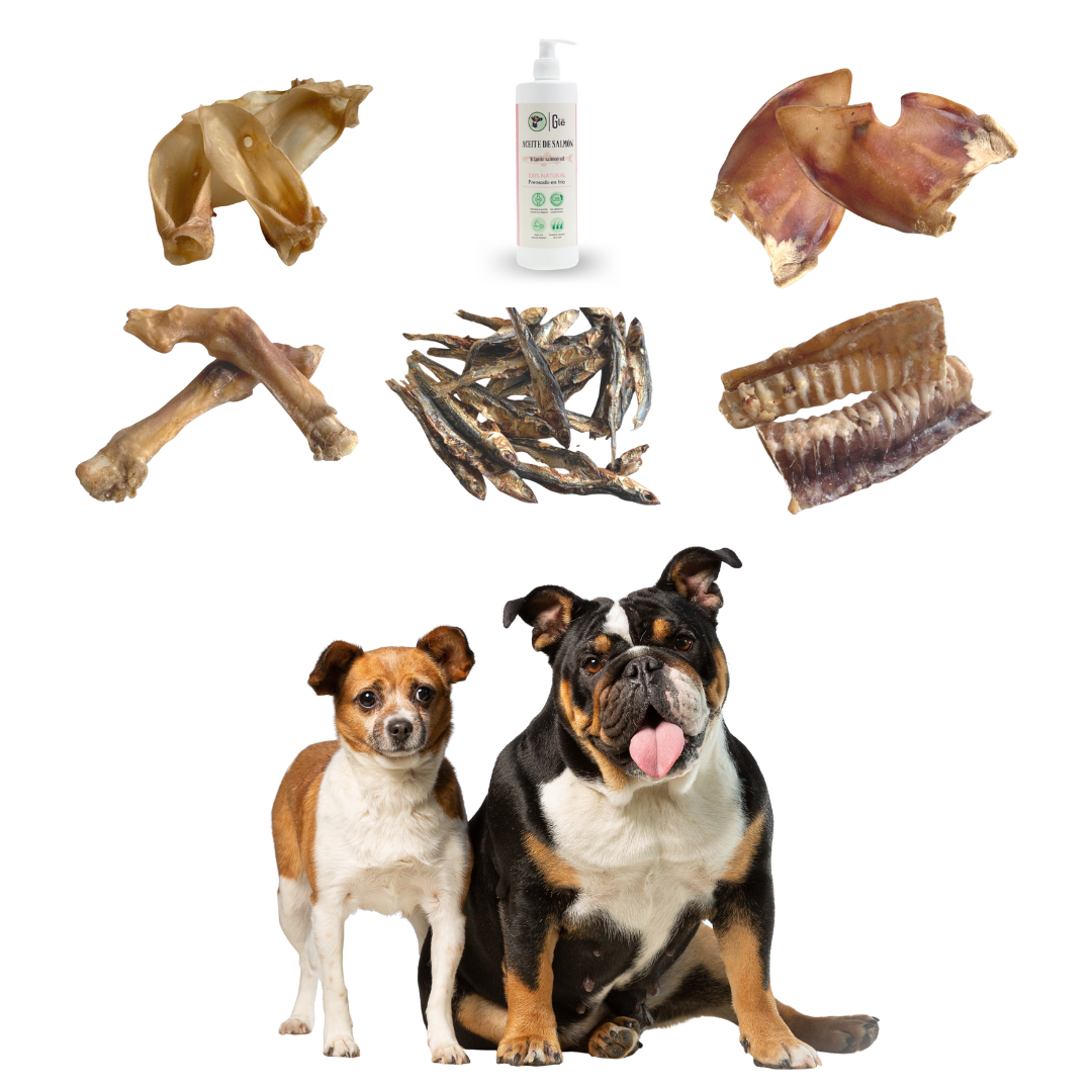 Caixa de petiscos naturais GLE Pets, presentes para cães, recompensas saudáveis, 5 saquinhos sortidos + óleo de salmão para cães (250 ml) Caixa coral