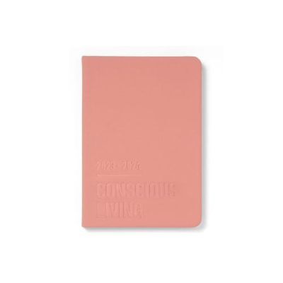 Clay Concious Dtp A5 Diary 2023-2024 (Diary)