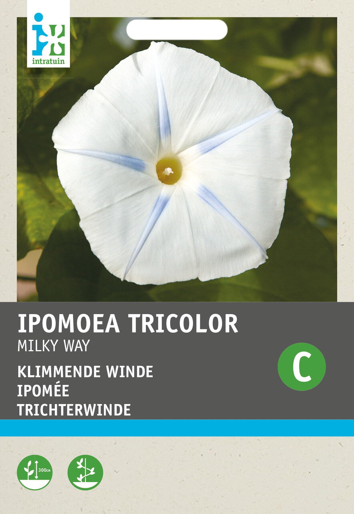 Intratuin bloemenzaad Winde wit (Ipomoea tricolor 'Milky Way')