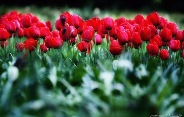 Fotokurs Karlsruhe als Geschenk