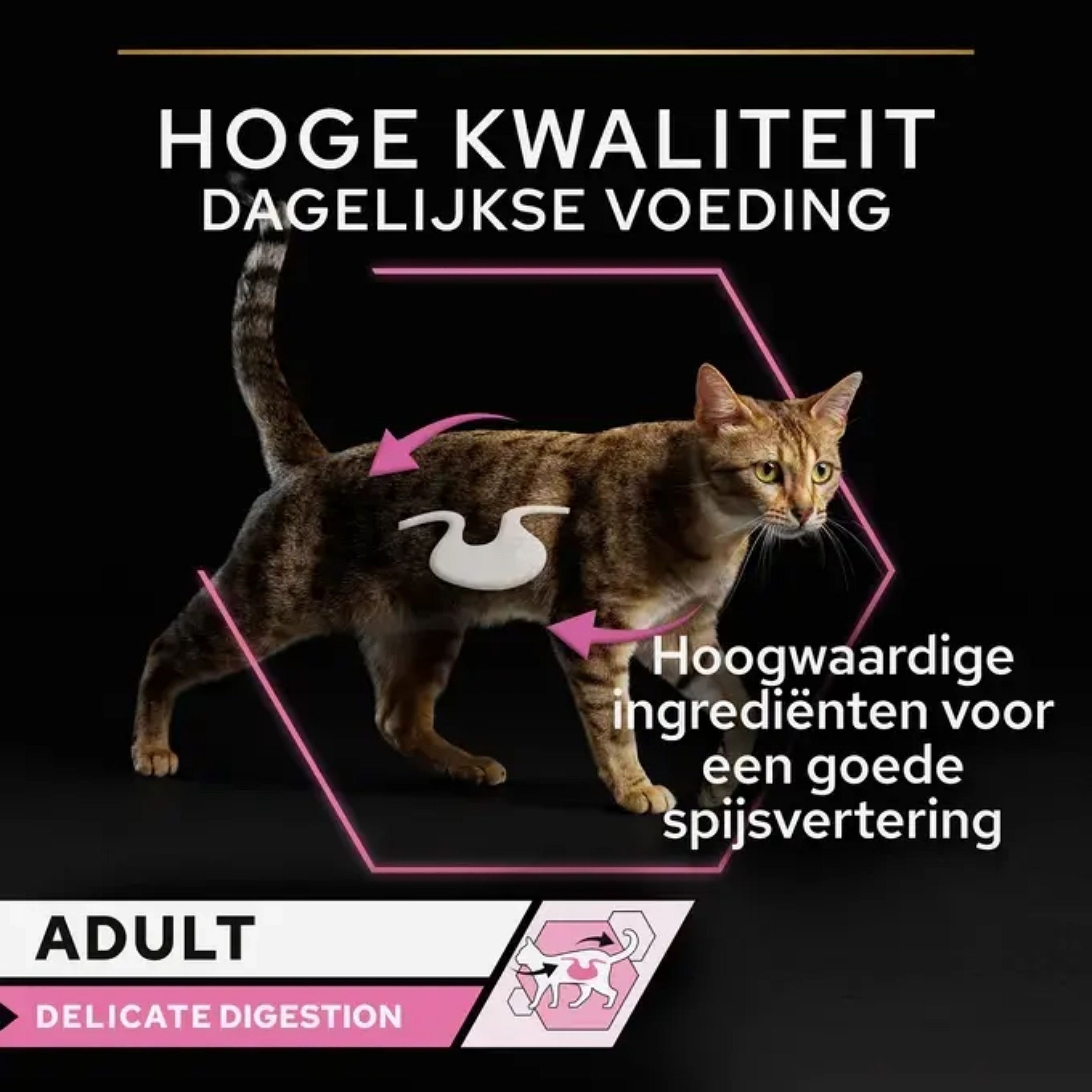 Purina Pro Plan Delicate Digestion Adult Kat  | 10 x 85 gram maaltijdzakjes vis | 15799.2