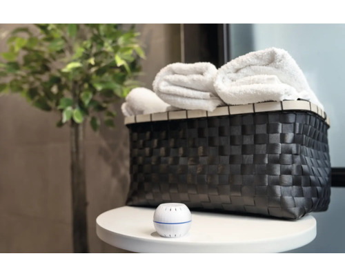 Shelly H&T witte Wi-Fi vochtigheids- en temperatuursensor