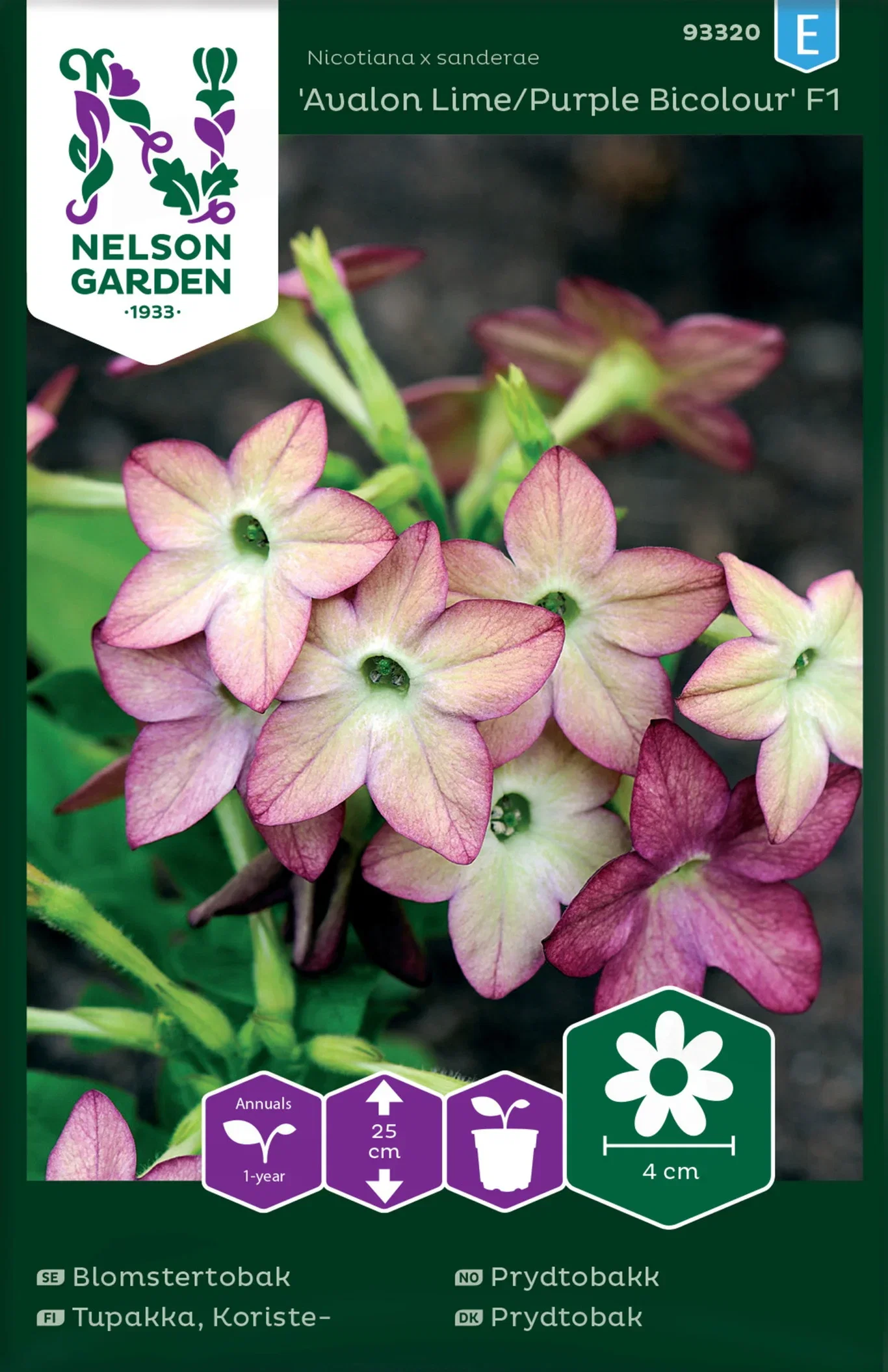Nicotiana x sanderae Prydtobakk 'Avalon Lime/Purple' F1