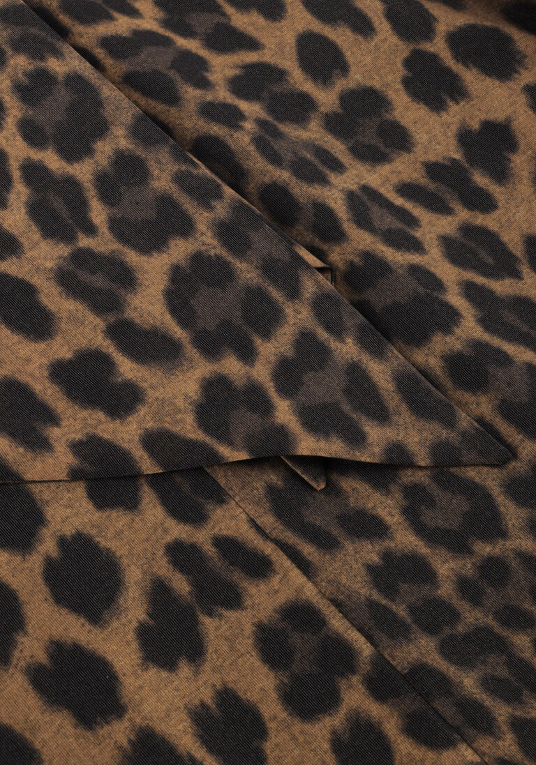 bruine dante6 mini jurk leigh leopard dress