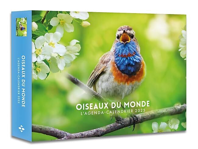 HUGO IMAGE - AGENDA CALENDRIER OISEAUX DU MONDE 2025