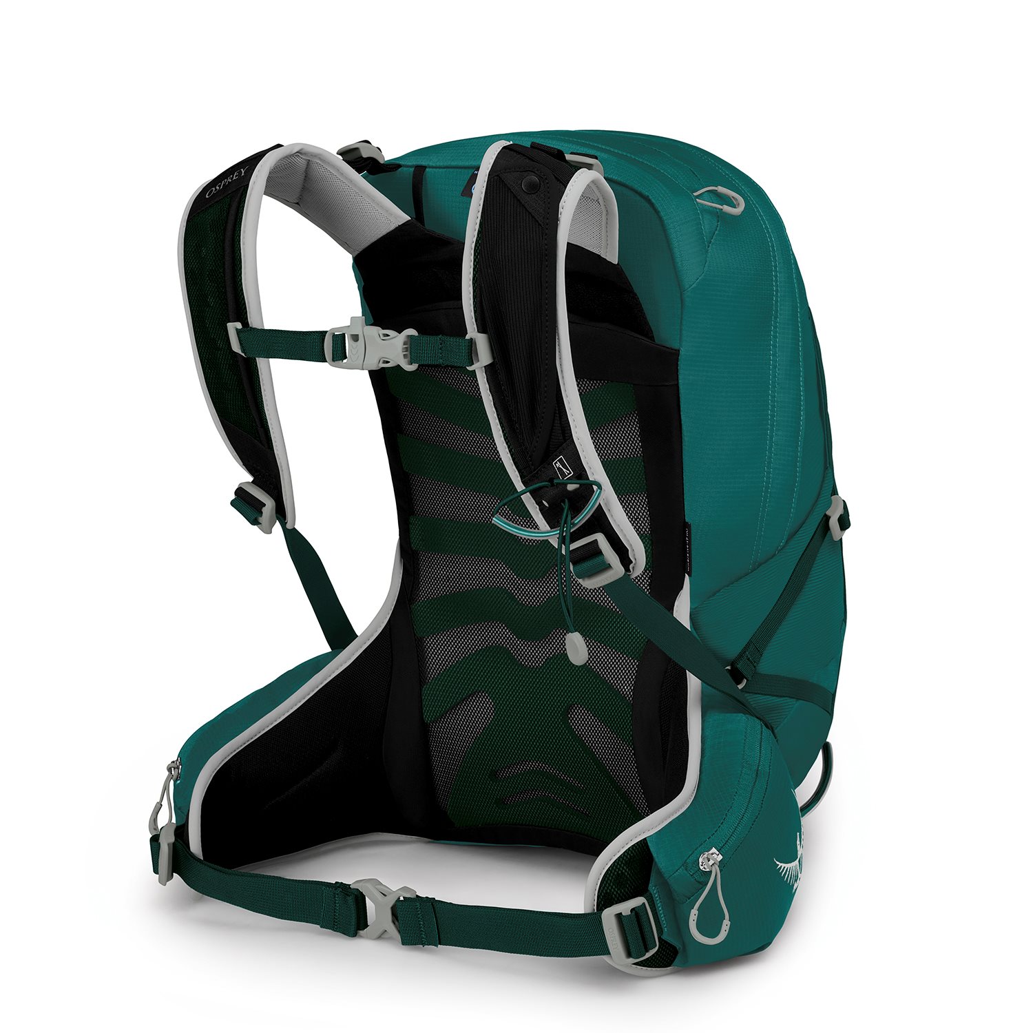 Osprey Tempest 20 Women's Backpack XS/S jasper green