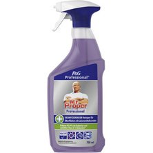 P&G Professional  Nettoyant désinfectant