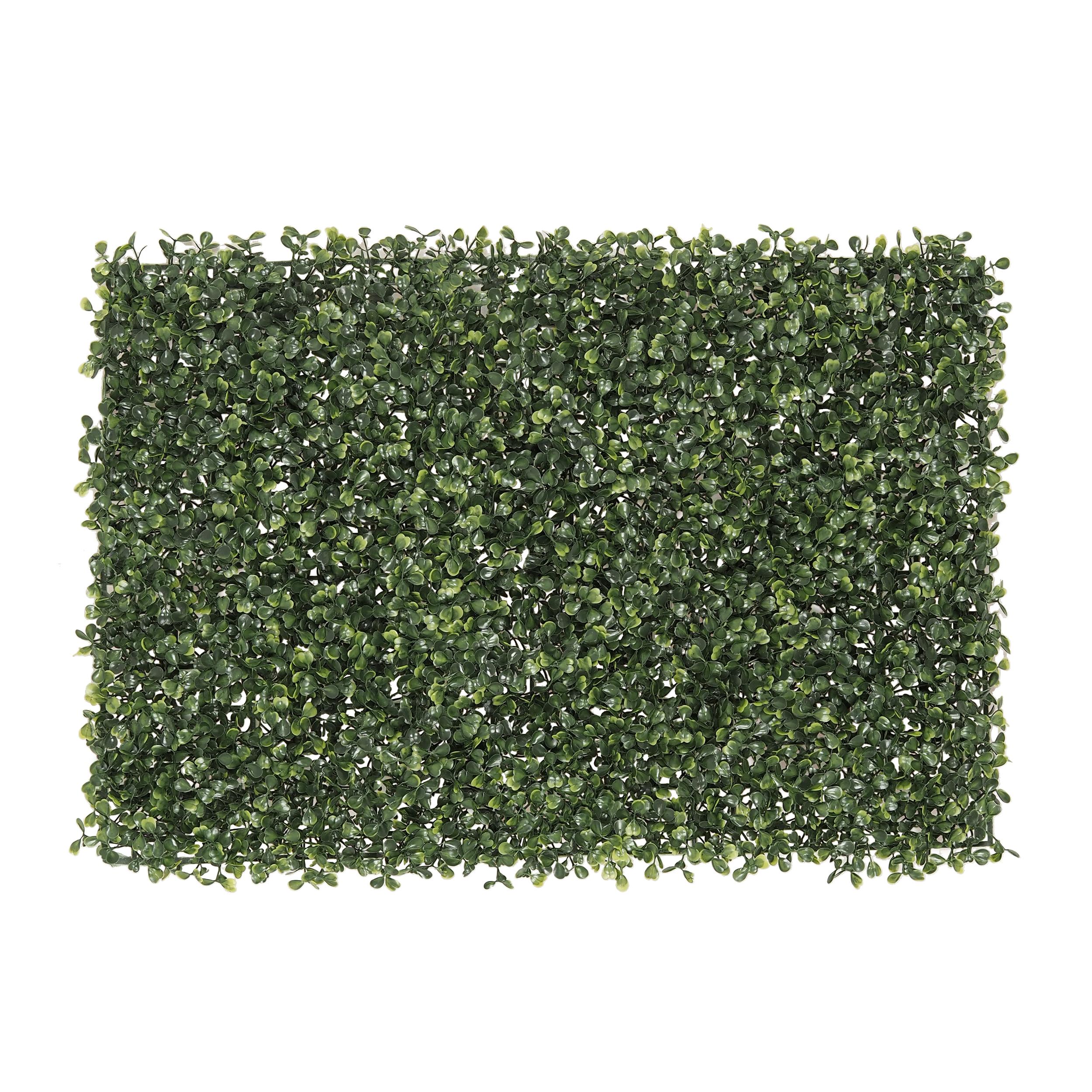MUR VEGETAL BUIS RECTANGULAIRE 60X40CM
