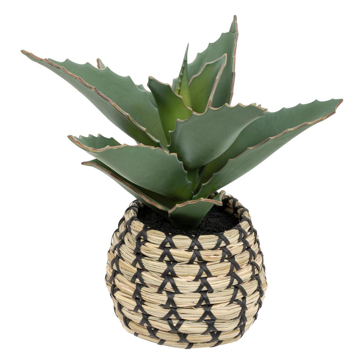 SAMOURAI POT NATUREL PIO H.26CM
