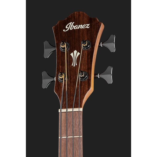 Ibanez AEGB24E-MHS