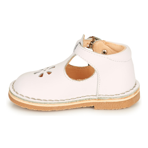 Aster - BIMBO - Blanc