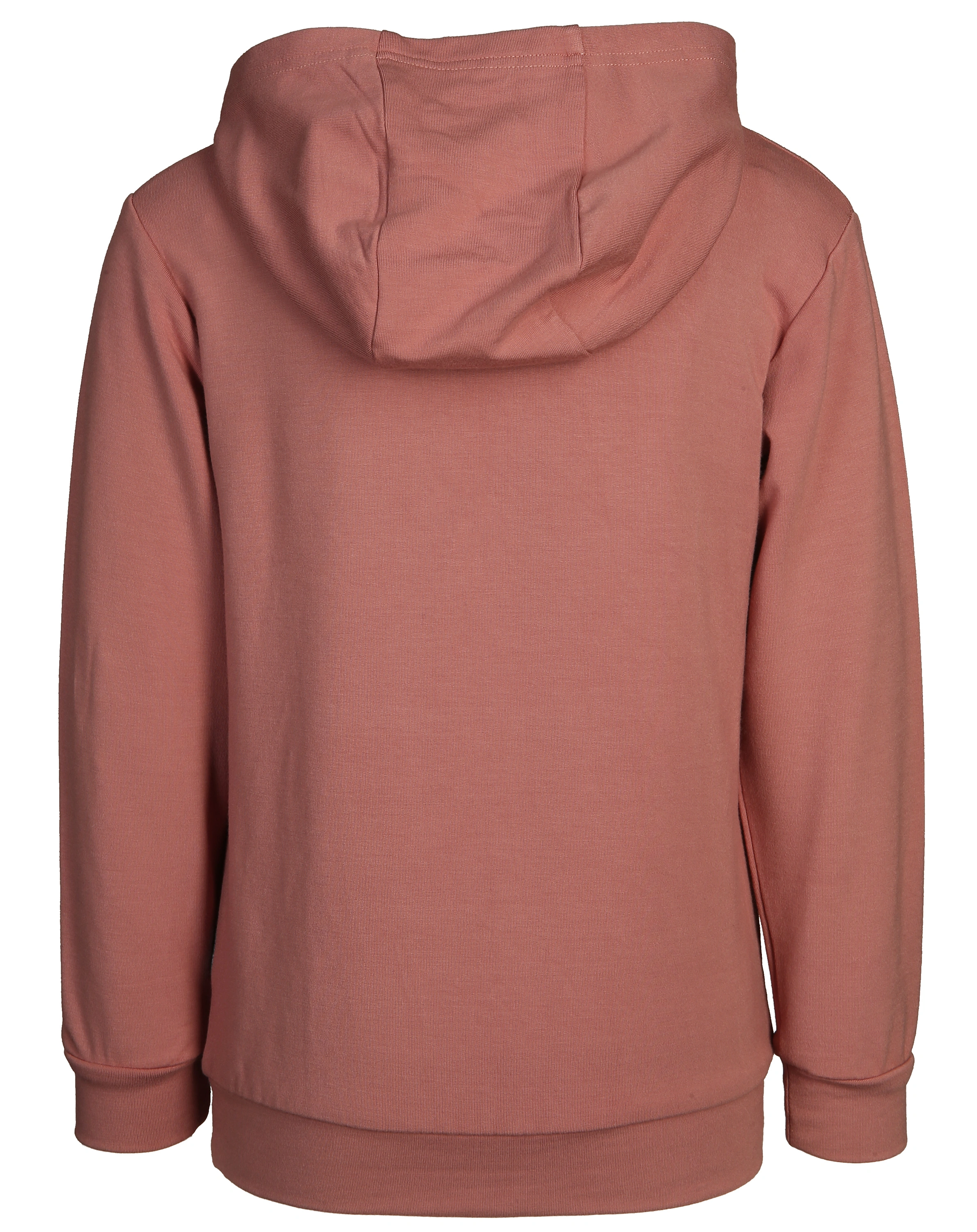 Kapuzen-Sweatshirt STINUS in ash rose