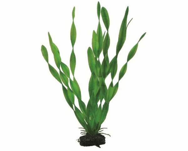 Hobby Plant Vallisneria 34cm