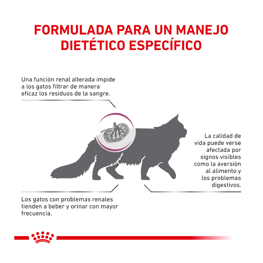Ração Royal Canin Veterinary Renal para gatos