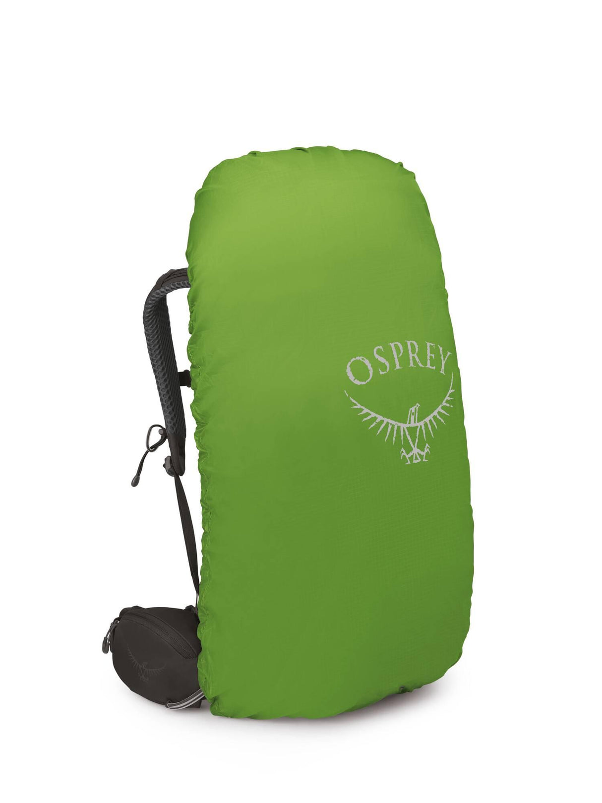 Osprey<br>Kestrel 48