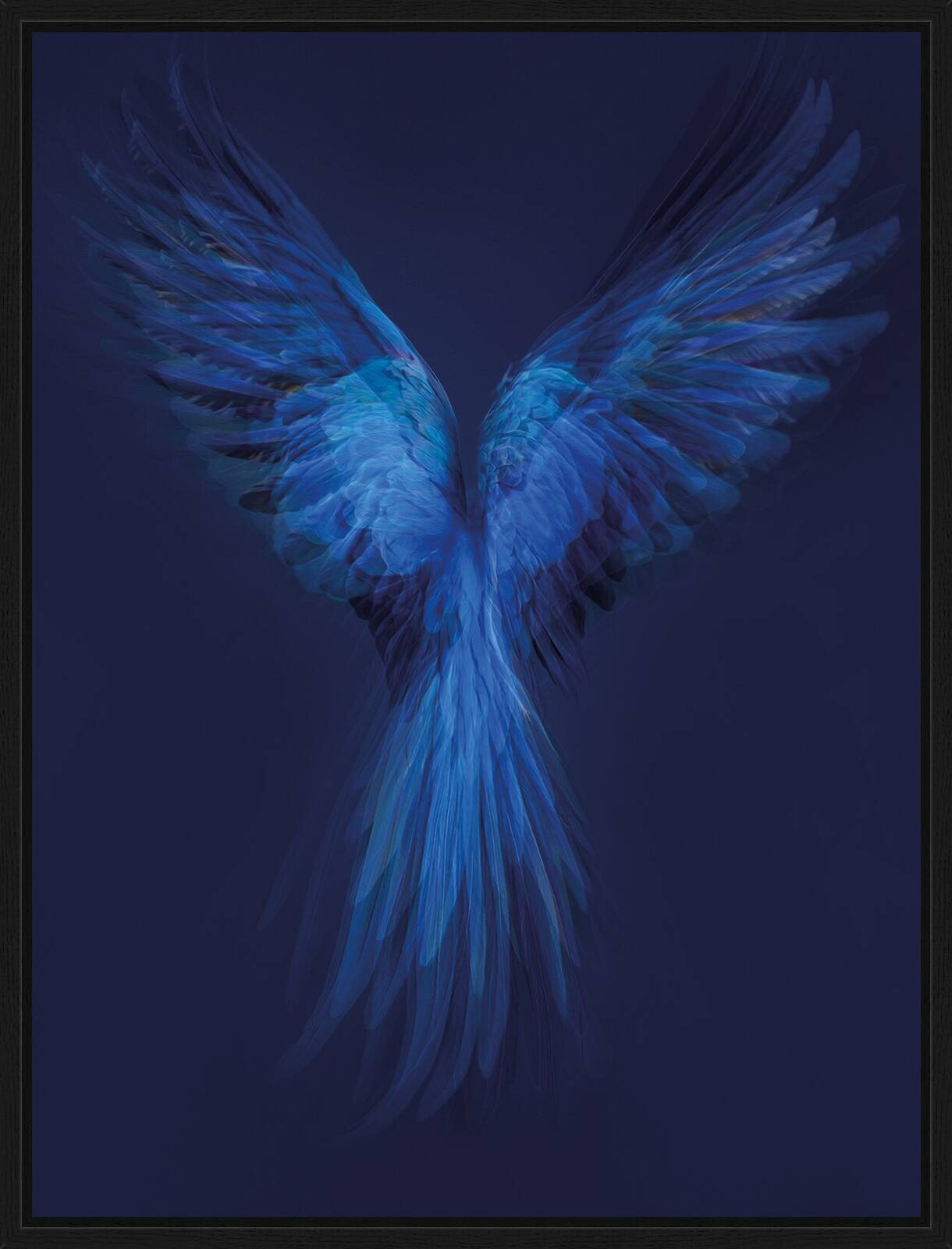 Hyacinth Macaw by Juan Fortes - Limited Edition. Edition of: 150. Signed.