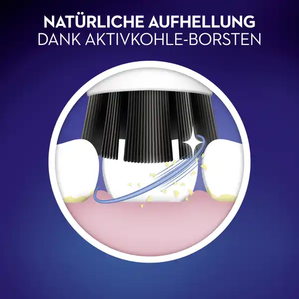 Aufsteckbürsten Pure Clean