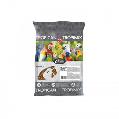 Manutenção de papagaios tropicais