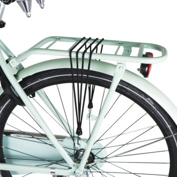 Dresco bagagebinder spider