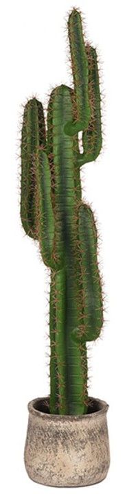 Kunstplant Cactus DS-54.004B90 x D25 x H130 cm