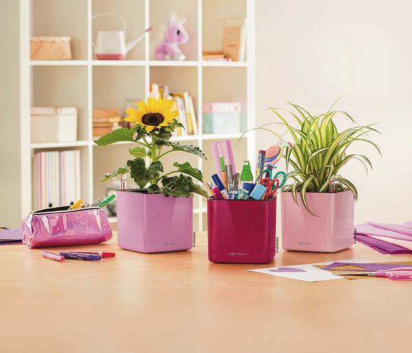 LECHUZA® CUBE Premium, All-in-One Set,