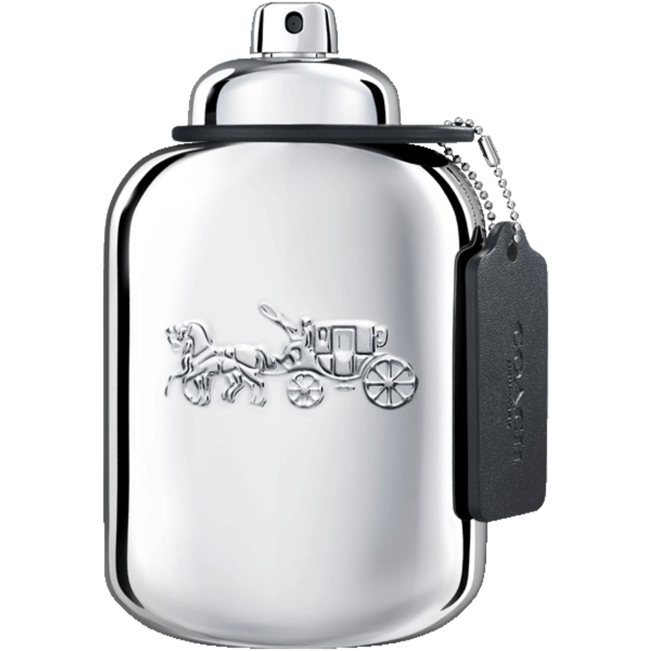 Platinum Eau de Parfum 100 ml