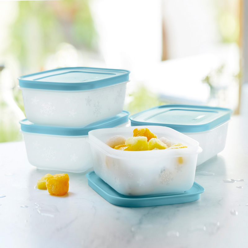 Eis-Kristall 450ml (4) Der Gefrierbehälter für eine Portion Suppe