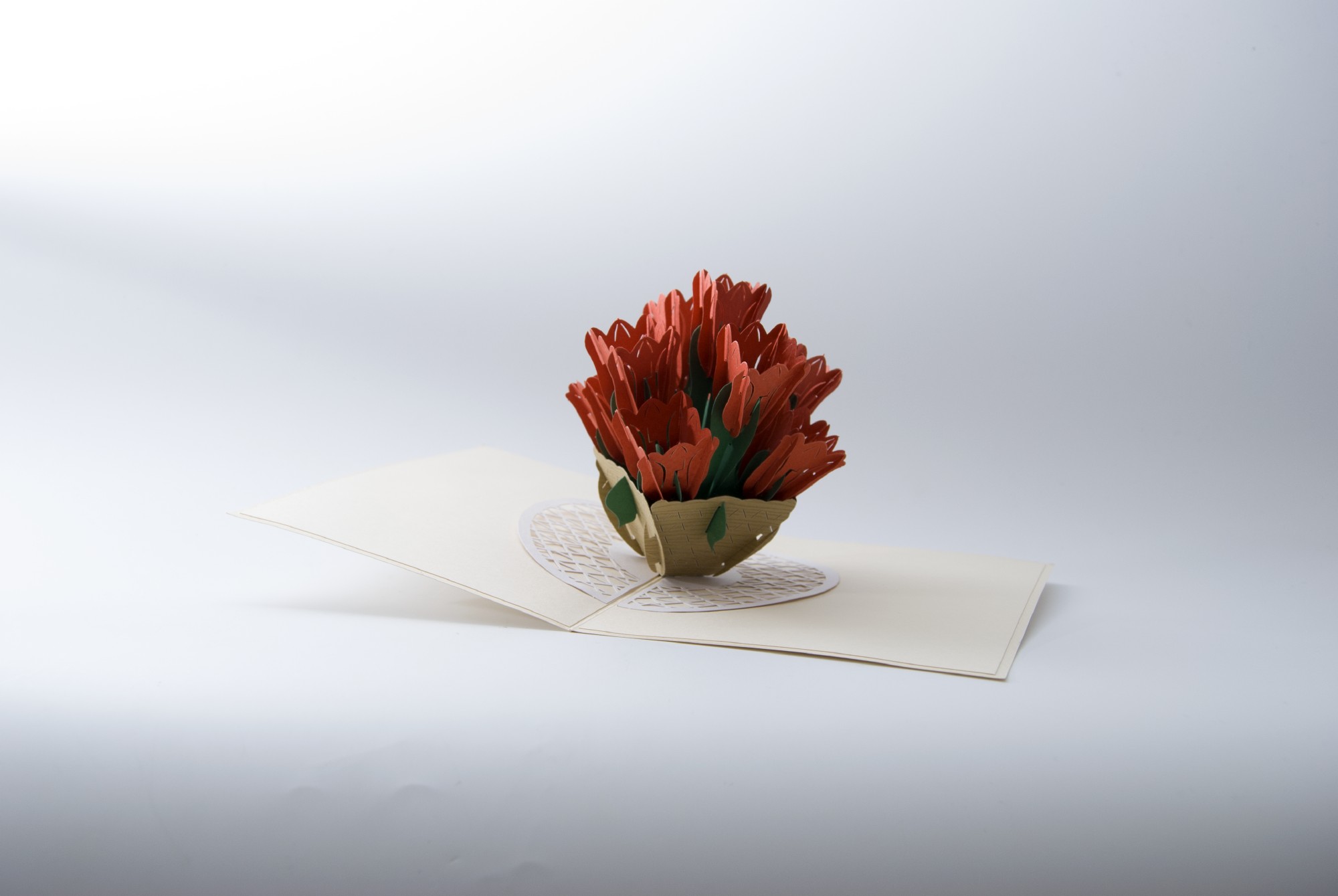 Pop-Up Karte 'Tulpe', rot, L 18 cm, B 13 cm günstig bestellen