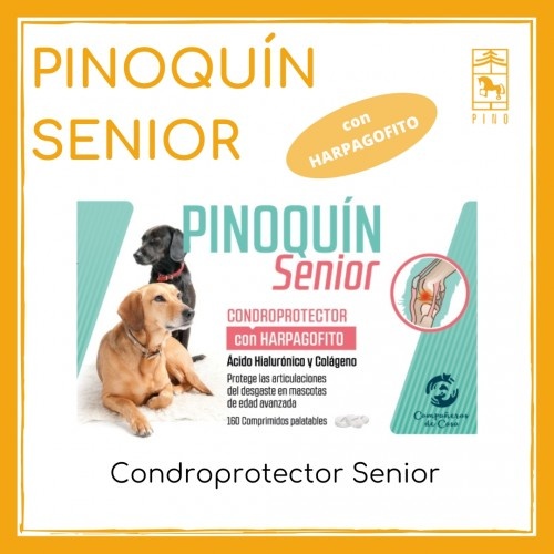 Pinoquin Laboratories Condroprotetor Derpagofrito para animais de estimação idosos