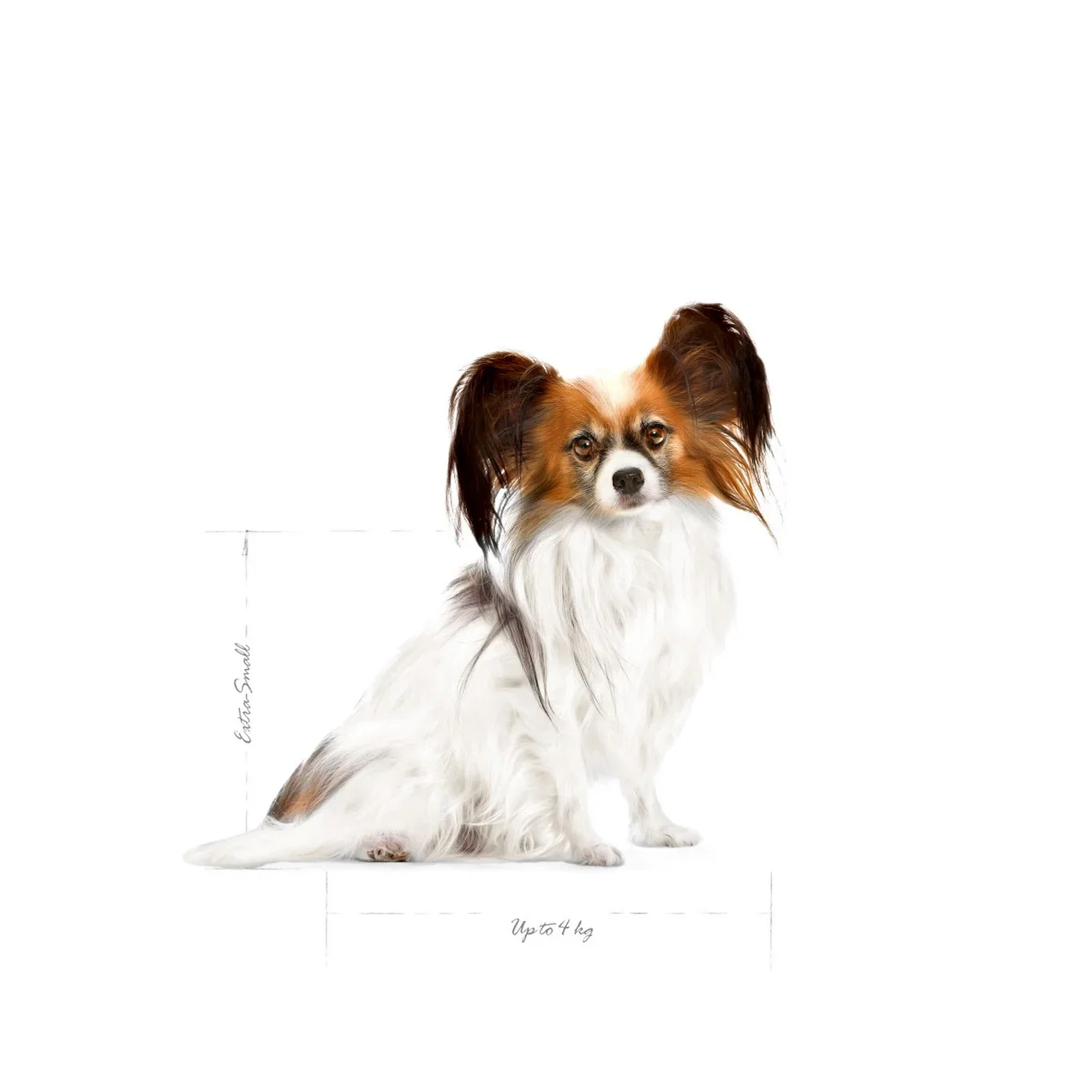 Royal Canin Royal Canin X-small Adult 8 1,5 kg