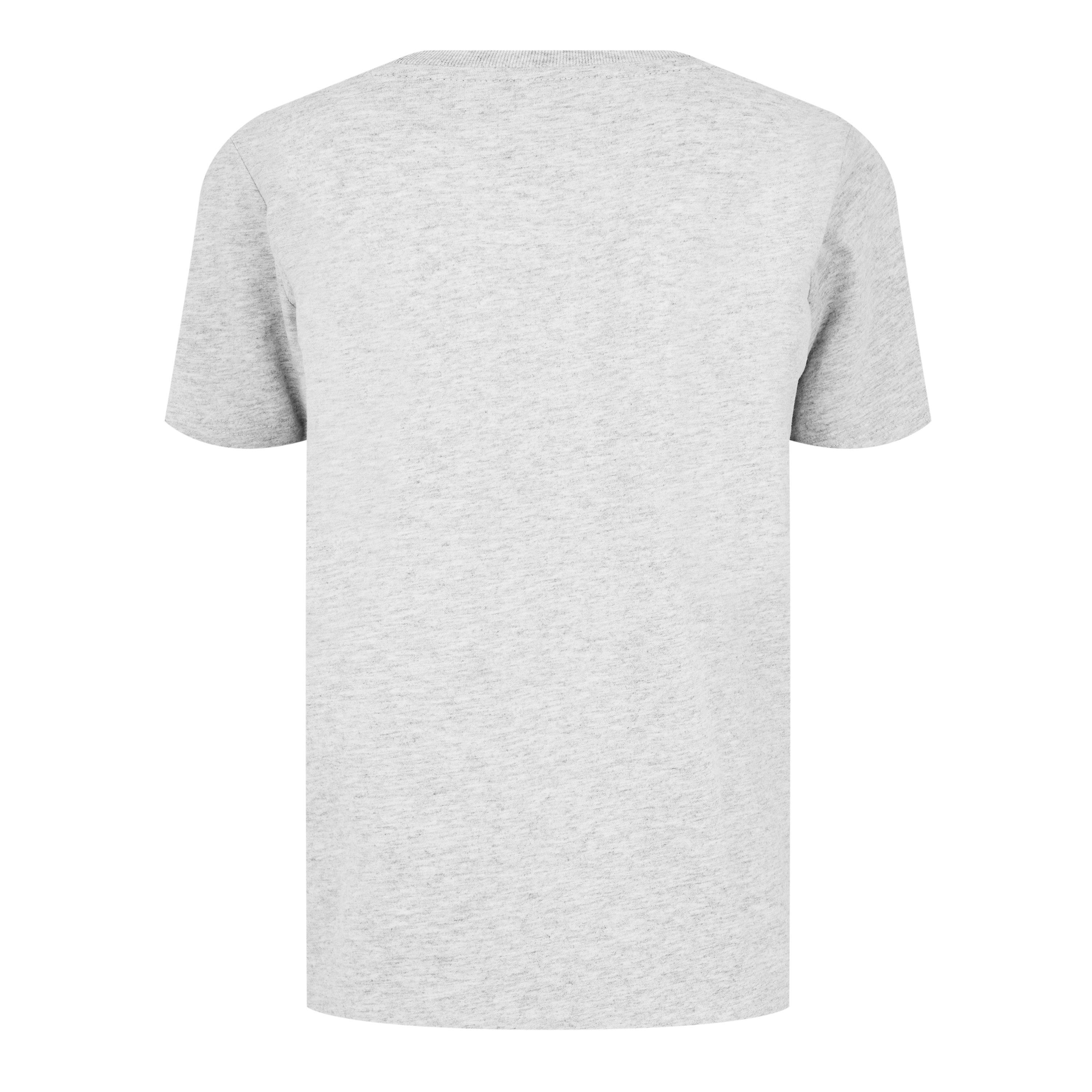 Superdry VI Graphc T Ld41
