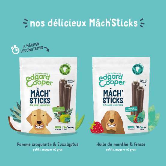 Mâch'Sticks Moyen Chien Pomme & Huile Eucalyptus 160g