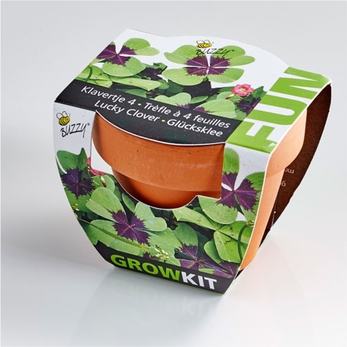 Kit trèfles à 4 feuilles