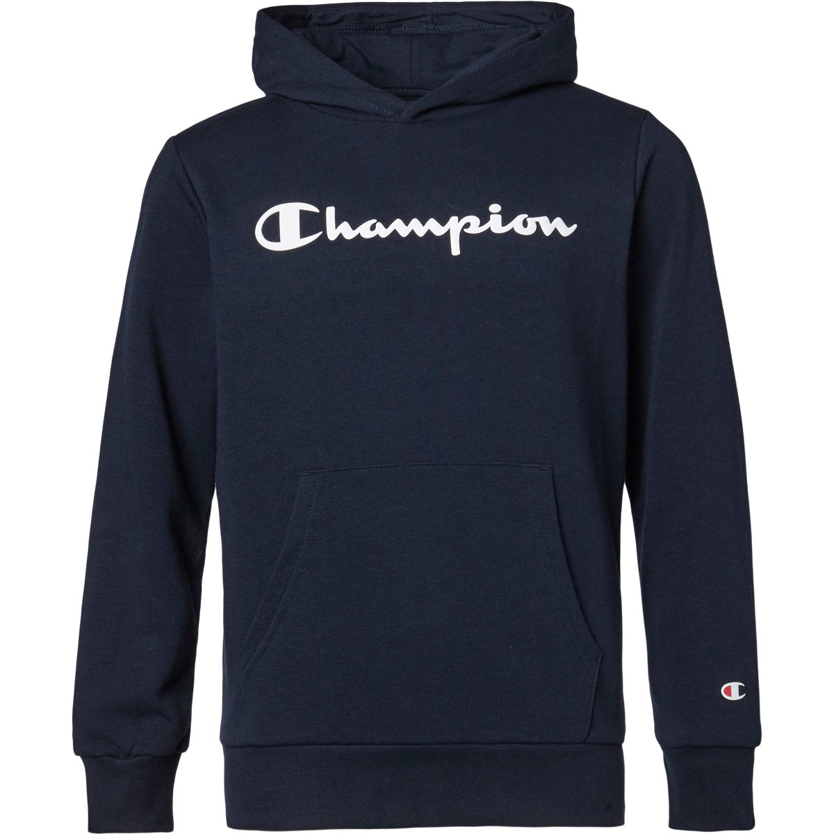 Champion Script Logo Hættetrøje Børn