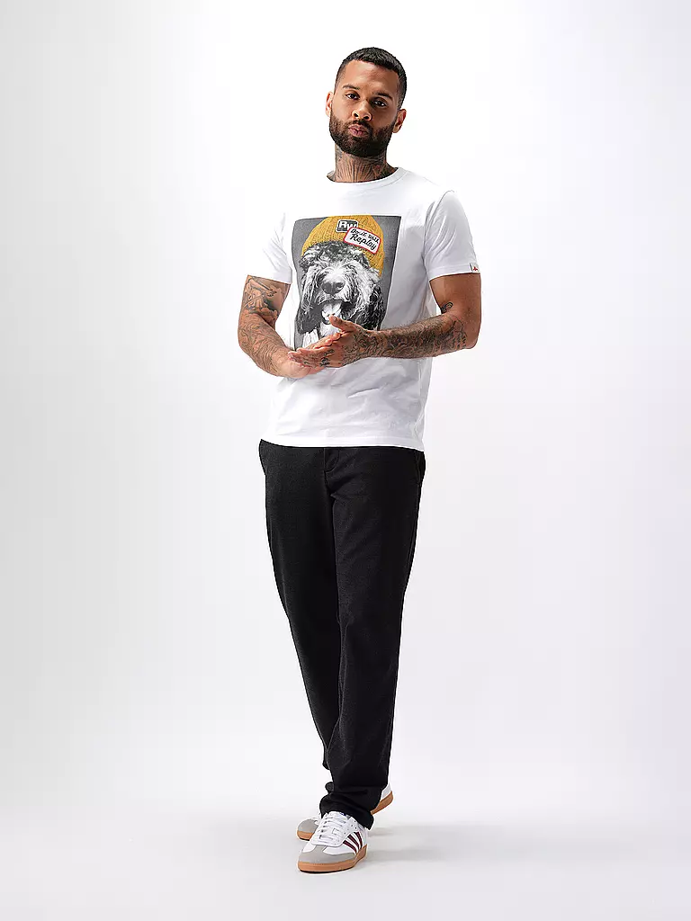 ALBERTO Chino LOU  blau