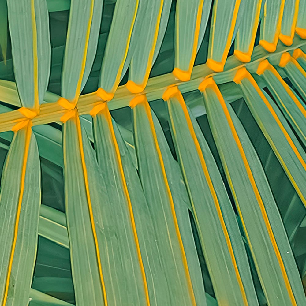Komar Fototapete »Digitaldruck Vlies -  Neon Fern - Grösse 200 x 250 cm« bedruckt glatt Wohnzimmer, Schlafzimmer