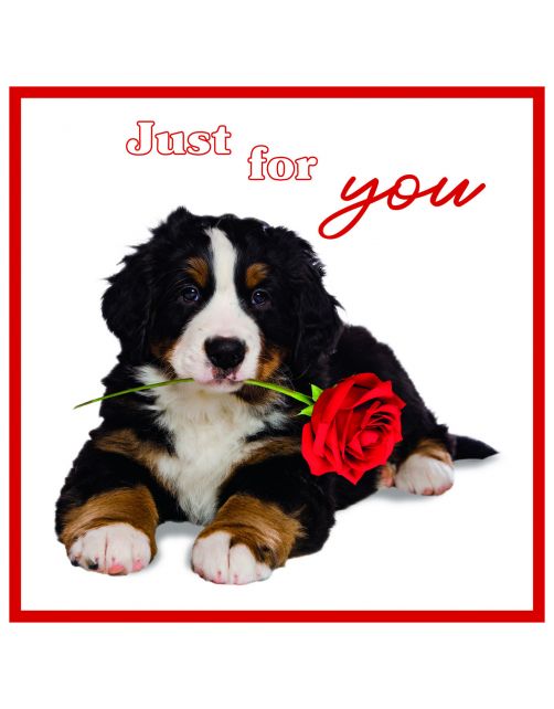 Plenty Gifts Kaart Just For You - Cadeau - 13.7x13.7 cm