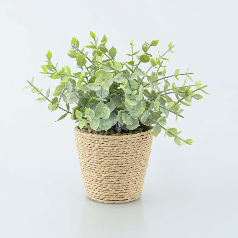 Pot feuillage