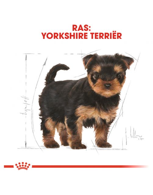 Royal Canin Yorkshire Terrier - Puppy-Hondenvoer - 1.5 kg