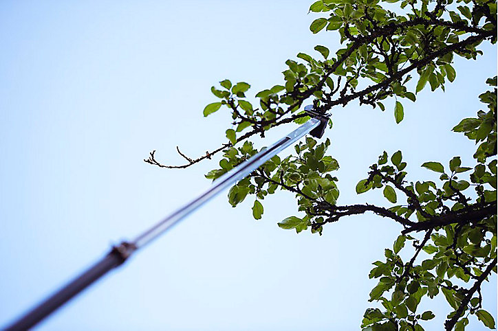 Lot Fiskars coupe-branches téléscopique 6 m + scie