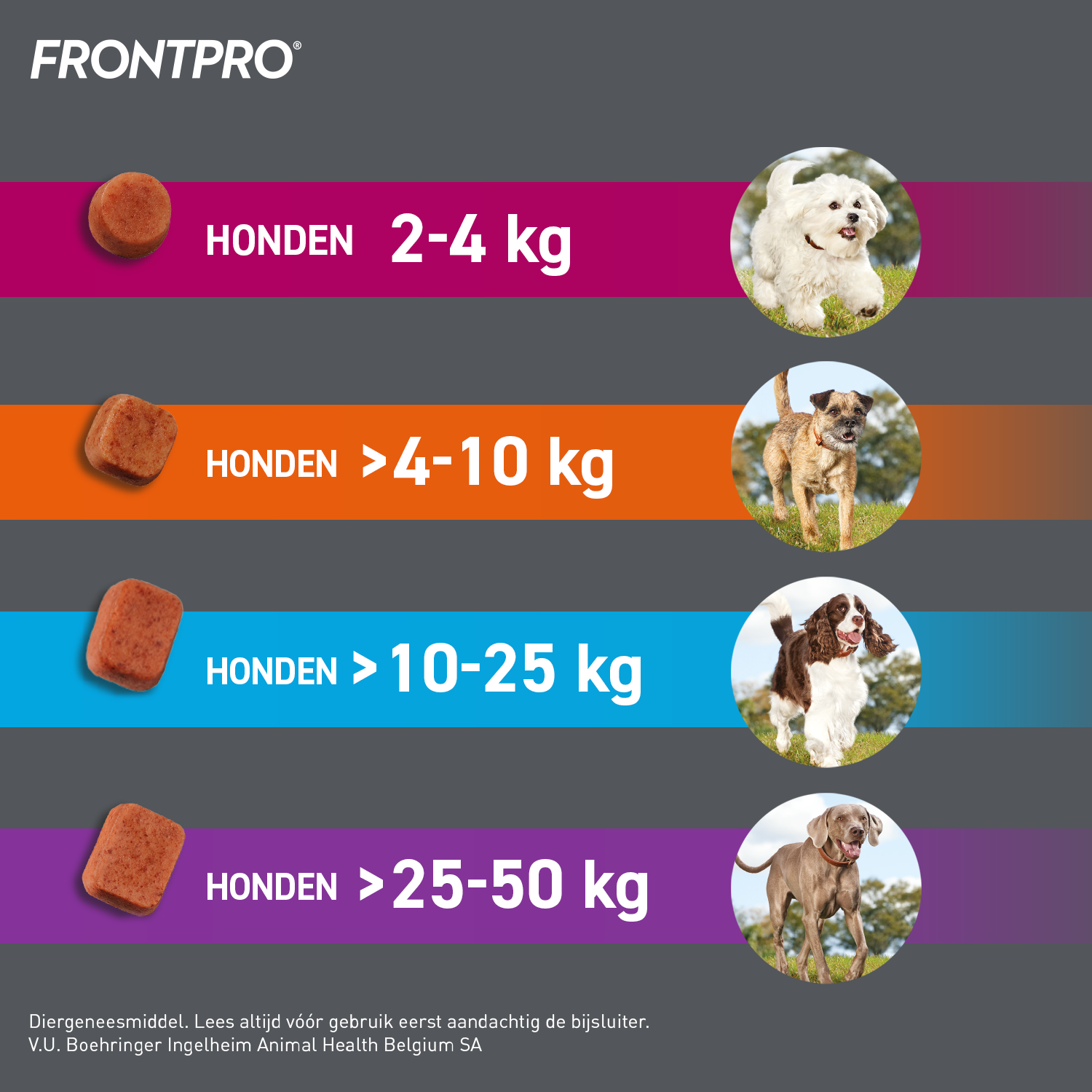 FRONTPRO Kauwtabletten Hond