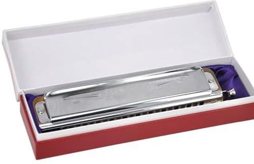 Chromatische Mondharmonica 22 Gaten Harp 44 Riettonen Mondharmonica Professionele Armonica Instrumentos(C)