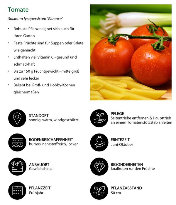 Tomate 'Garance'