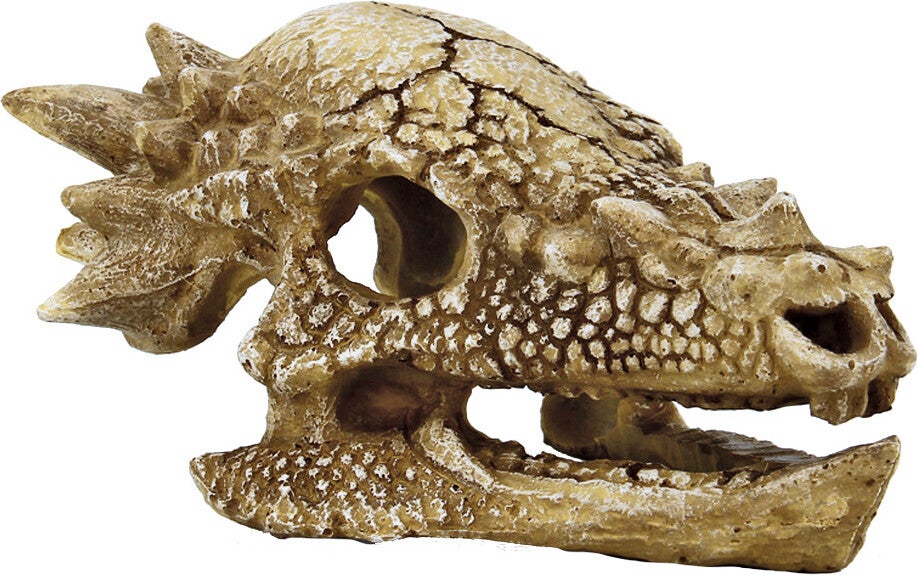 SuperFish aquarium decoratie schedel T-rex beige 16,7 x 12,4 x 9 cm