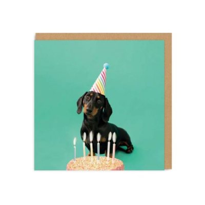 Rad Birthday Party Dog Card