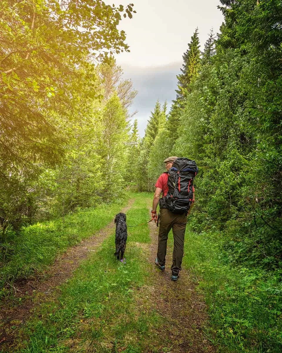Sydvang Montana Hiking Pack 85L Black
