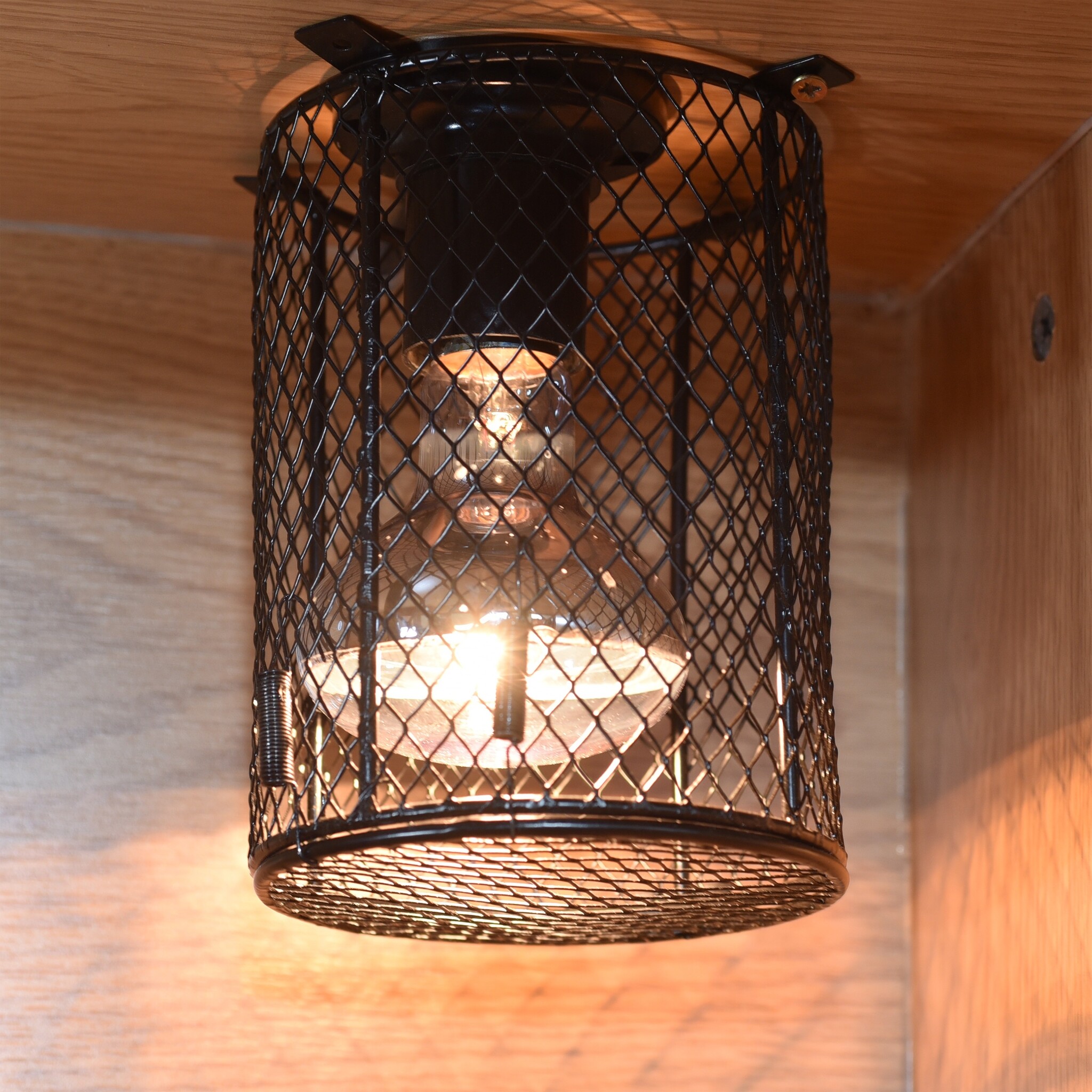 Habistat Verwarmingsbeschermer voor Terrarium Rond 12cmx16cm
